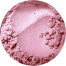 Glimmering Rose