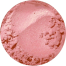 Rock Rose Blushpng