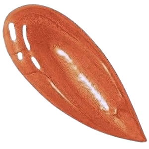 toffee apple lip gloss